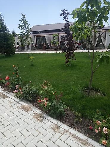 Аренда коттеджей и домов на Иссык-Куле: Коттедж, Palm Beach, Чок-Тал, 7 мест — 10