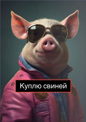 шприц для животных: Продаю | Свинья (самка)