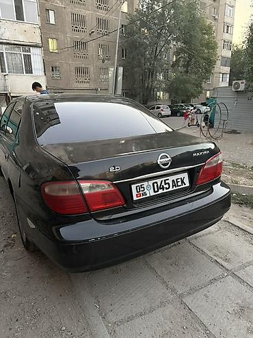 ниссан максима: Nissan Maxima: 2004 г., 2 л, Автомат, Бензин, Седан — 5