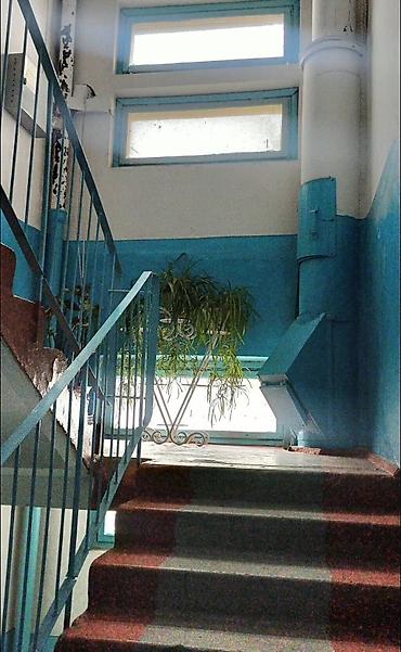3 к: 2 комнаты, 54 м², 105 серия, 5 этаж, Евроремонт — 3