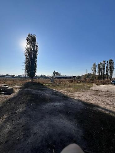 сарай для крс: Сдаю Сарай, 40 голов, 20 соток, Водопровод — 9