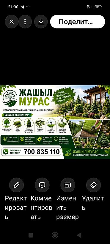 Профессиональные услуги по озеленению и благоустройству от «Жашыл