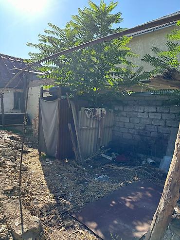 Продажа участков: 3 соток, Для строительства, Красная книга, Тех паспорт, Договор купли-продажи — 9