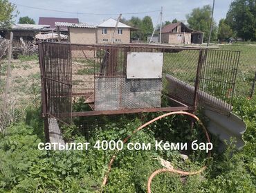 продаю бычок: Продаю клетка для кроликов