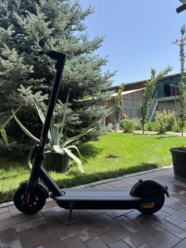 электросамокат ninebot kickscooter max: Электросамокат, Ninebot, Без рассрочки, Б/у, Самовывоз
