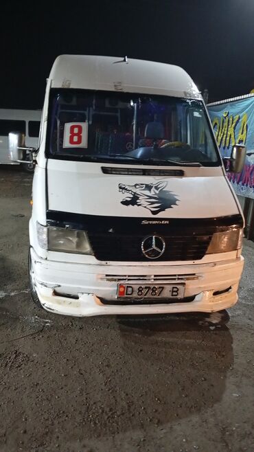 мерс 21х: Mercedes-Benz Sprinter: 1998 г., 2.9 л, Механика, Дизель, Бус