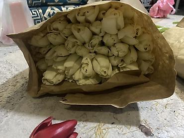 Букеты из живых цветов: Тюльпаны срезанные, упаковка по тюку в крафт-бумаге. - Палитра — 1