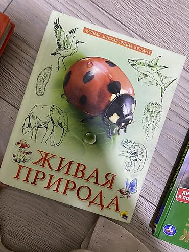 Детские книги: Детские энциклопедии (набор из 6 книг) Абсолютно новые, состояние — 10