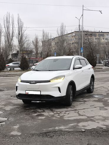 Weltmeister: Weltmeister EX5, 2021 г., 72000 км, AWD, полный, В наличии — 1