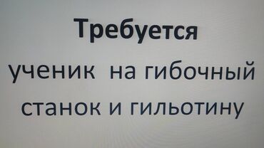 распильный станок: Требуется Разнорабочий, Оплата Еженедельно, Без опыта