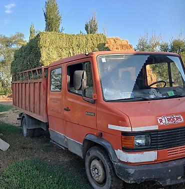 mers 814: Грузовик, Mercedes-Benz, Дубль, Б/у — 3