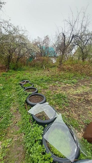 Продажа дач: Срочно продаю ДАЧУ, с.Арашан, ул.Тепловик, участок 5 соток, на участке — 4