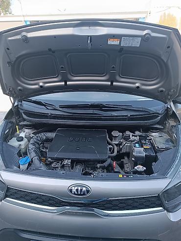 бампер карнивал бампер: Kia Morning: 2019 г., Автомат, Бензин, Хэтчбэк — 2