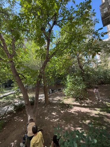 дом недорого купить: 2 комнаты, 65 м², 106 серия, 1 этаж, Косметический ремонт