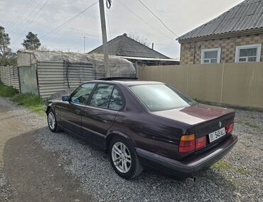 банка на бмв: BMW 5 series: 1994 г., Бензин