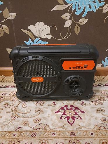 корг па 600 цена: ‼️‼️СРОЧНО‼️‼️ продаются колонка greatnice gts-2138 на 35 вт — 4