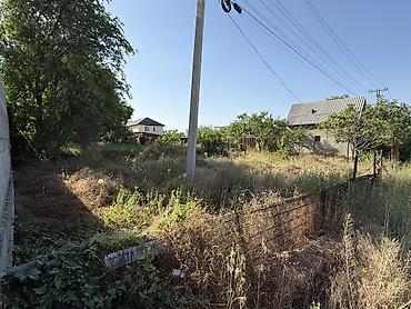 комм: 486 соток, Курулуш, Сатып алуу-сатуу келишими, Кызыл китеп — 2