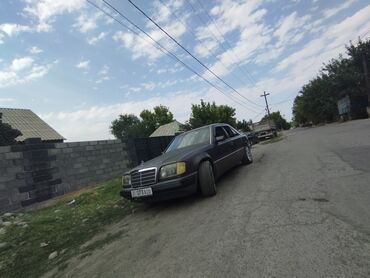 Mercedes-Benz: Mercedes-Benz W124: 1991 г., 2 л, Механика, Бензин, Седан — 4