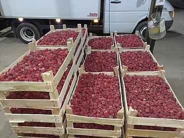 Малина: Малина Платная доставка — 20