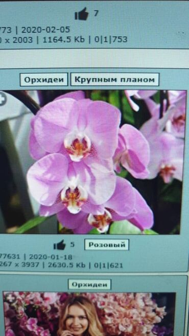 Натяжной потолок: Натяжной потолок Глянцевое, Матовое, 3D потолки Бесплатная консультация, Демонтаж, Бесплатный замер — 14