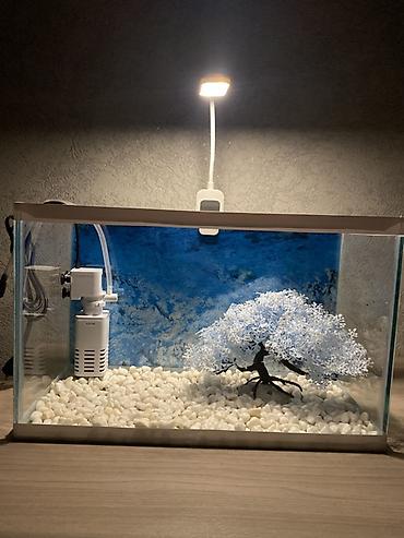 Akvariumlar: Hazır 12 Litr akvarium seti. İşlənməyib yenidir. Başqa yeni digər — 3