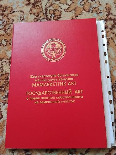 маленький бизнес: 5 соток, Для бизнеса, Красная книга — 1