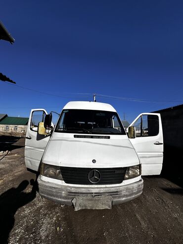 Mercedes-Benz: Mercedes-Benz Sprinter: 1999 г., 2.9 л, Механика, Дизель, Бус