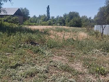 200: 🏡✨ ПРОДАЁТСЯ ДОМ С ЗЕМЕЛЬНЫМИ УЧАСТКАМИ ✨🏡 📍 Район: Сокулукский — 10