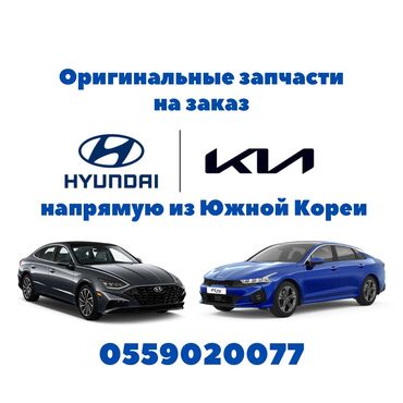 Другие автозапчасти: Оригинальные запчасти из Южной Кореи на Kia и Hyundai Детали