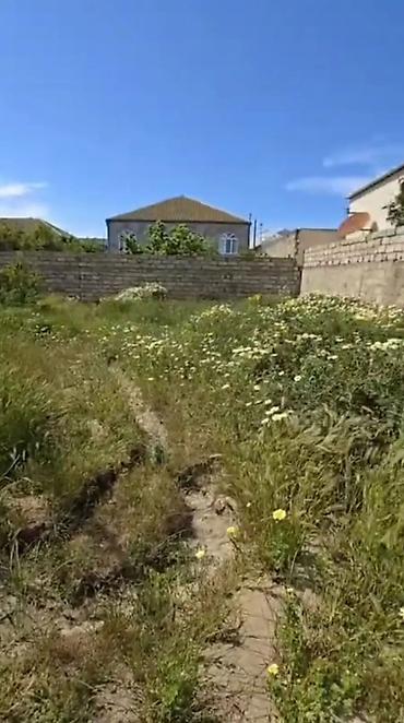 Torpaq sahələrinin satışı: 3 sot, Tikinti, Barter mümkündür, Kupça (Çıxarış) — 2