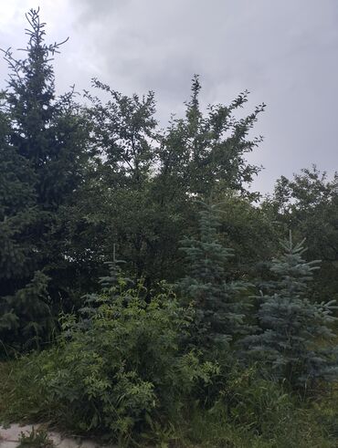 контейнер офис купить: Дом, 435 м², 6 комнат, Собственник