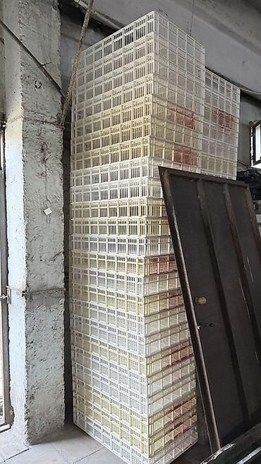 İnkubatorlar: Rusiya, Tam avtomat -da lalafo.az — 10 İnkubatorlar: Rusiya, Tam avtomat — 10