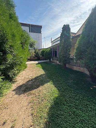Аренда домов: 250 м², 6 комнат и более, ул. Кара-Дарыя, Без подселения — 5