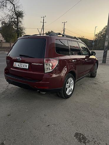 forester 2003: Subaru Forester: 2009 г., 2.5 л, Автомат, Бензин — 5