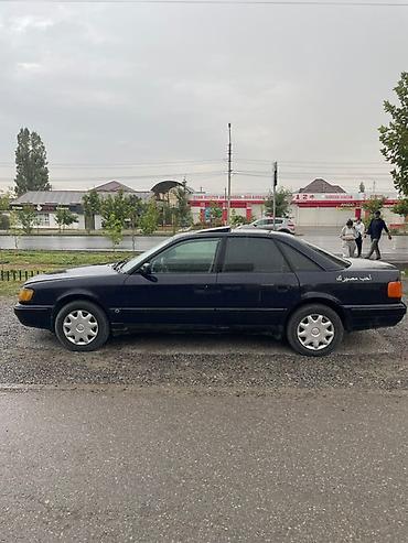 Audi: Audi 100: 1991 г., 2.3 л, Механика, Бензин, Седан — 4