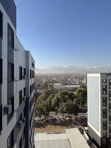 flat rent: 3 комнаты, Собственник, Без животных, от 6 месяцев, С мебелью полностью — 10