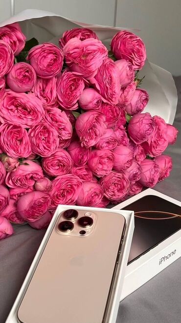 ноокат телефон: IPhone 16 Pro Max, Колдонулган, 512 ГБ, Natural Titanium, Коргоочу айнек, Каптама, Заряддоочу түзүлүш, 91 %