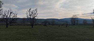 Torpaq sahələrinin satışı: Kənd təsərrüfatı — 15