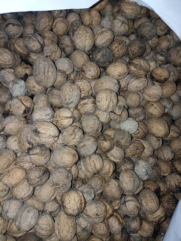 Чай, кофе, напитки: Məhsul: Qabıqlı qoz Təsvir: - Təbii qabığında, tam dənəli qoz