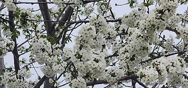 Фотографы, видеооператоры: Фотограф, видеооператор. 19 — 10