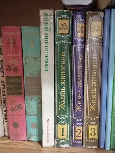 Художественная литература: Книги и собрания сочинений на русском и других языках. Состав: - — 11