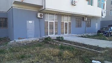 bulbule qesebesi: Qaradag rn Sahil qəsəbəsində Bakı.Astara yolunun düz kənarında SƏNƏD — 10