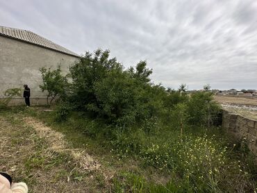 4 sot, Kənd təsərrüfatı, Mülkiyyətçi, Kupça (Çıxarış), Bələdiyyə