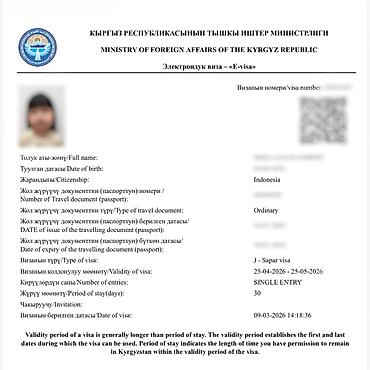Туристические услуги: Визы в Кыргызстан, США, Японию и Шенген. Помогаю с оформлением виз в — 11