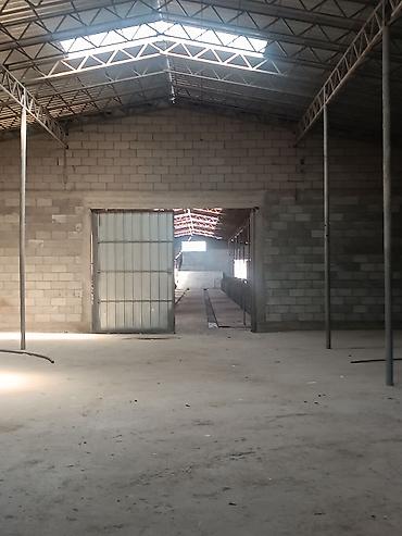 Продажа сельхоз предприятий: 1000 соток, Действующий, Частично с оборудованием, Электричество, Скважина, Холодная вода — 14