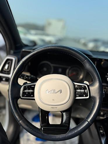 Kia: Kia Sorento: 2022 г., 1.6 л, Гибрид — 13