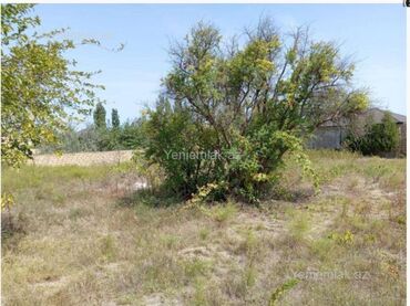 Torpaq sahələrinin satışı: 12 sot, Biznes üçün, Kupça (Çıxarış) — 7