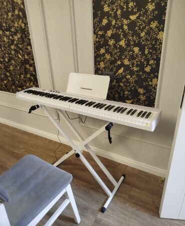 Lüğətlər: Piano, Rəqəmsal, Yeni, Ünvandan götürmə, Ödənişli çatdırılma, Rayonlara çatdırılma