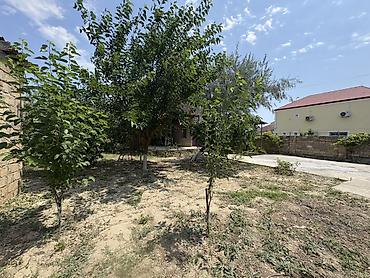 memar: 4 otaqlı, 272 kv. m, Kredit yoxdur, Orta təmir — 6