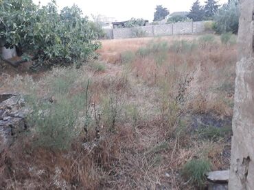 Torpaq sahələrinin satışı: 12 sot, Makler, Kupça (Çıxarış) — 7